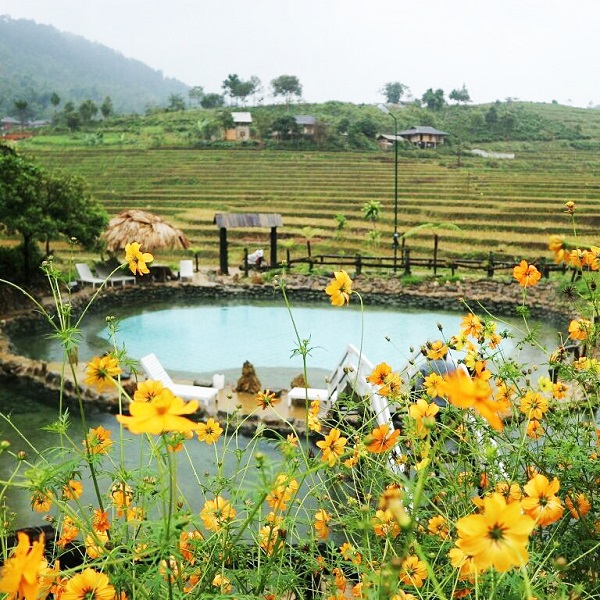 Góp phần bảo vệ môi trường